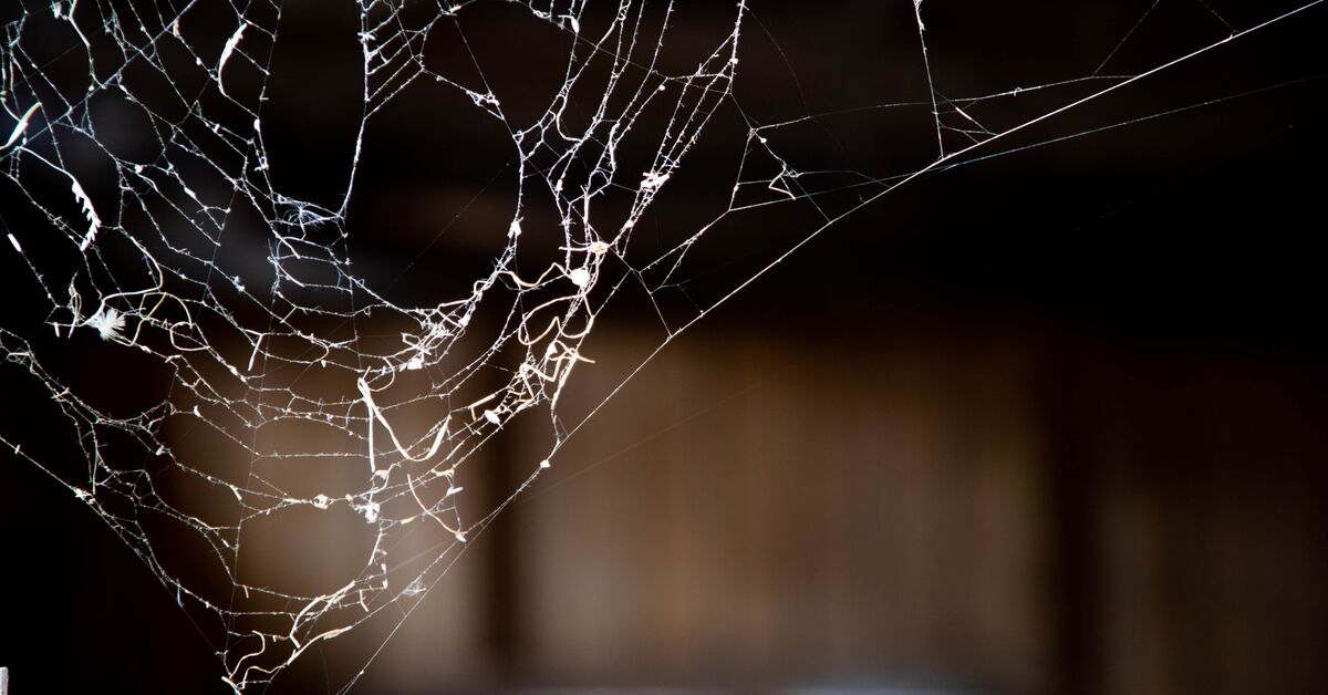 Dust and cobwebs in upper corner