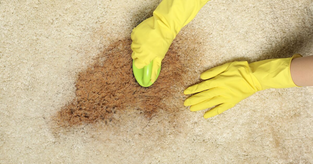 Harsh brush damaging carpet fibers
