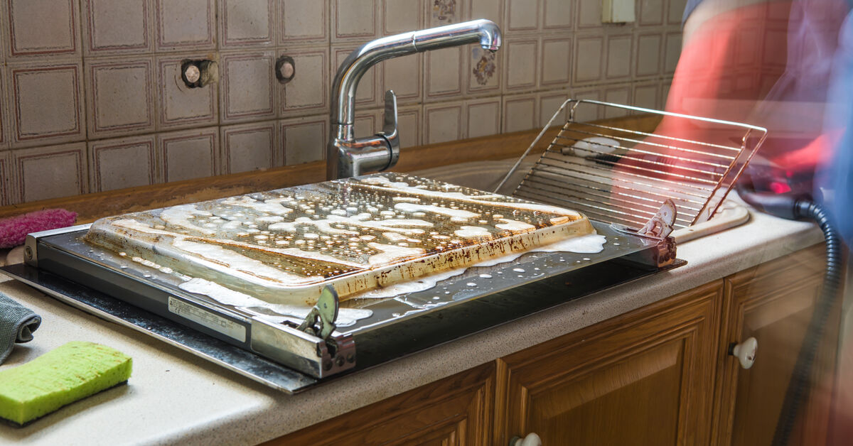 Professional cleaner checking oven interior