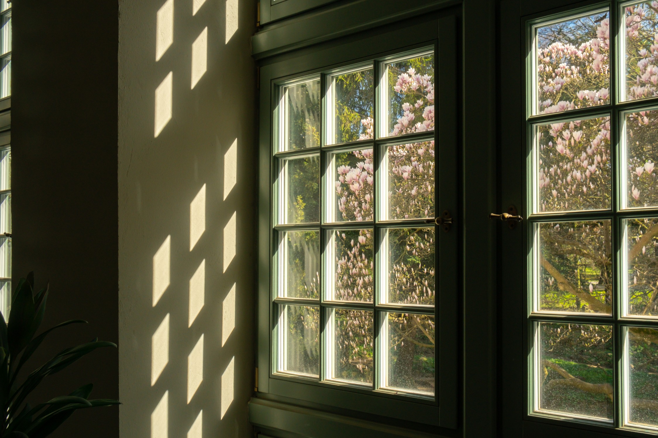 Geamuri fără urme și dâre: ce tehnici folosesc profesioniștii