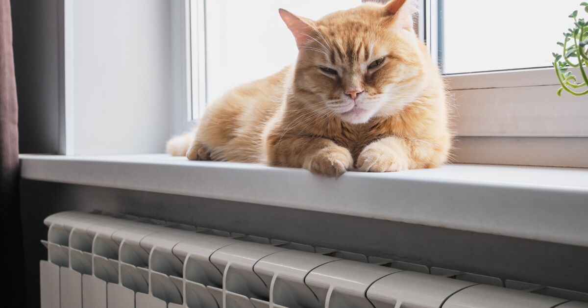 Fresh room with clean radiator