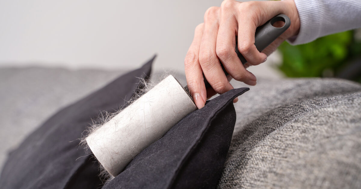 Sofa tools for removing pet hair