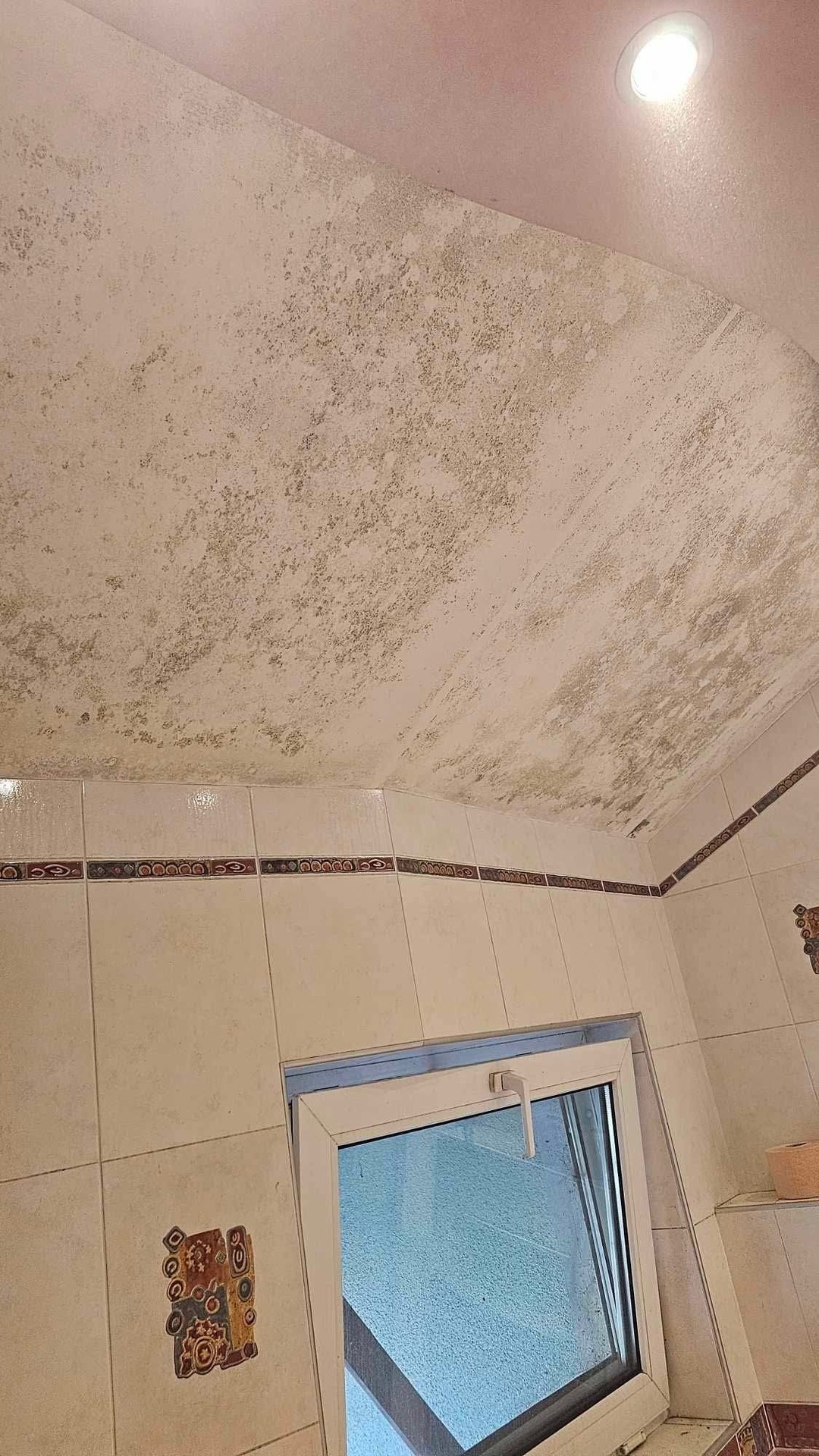 Before photo for Curățenie la domiciliu