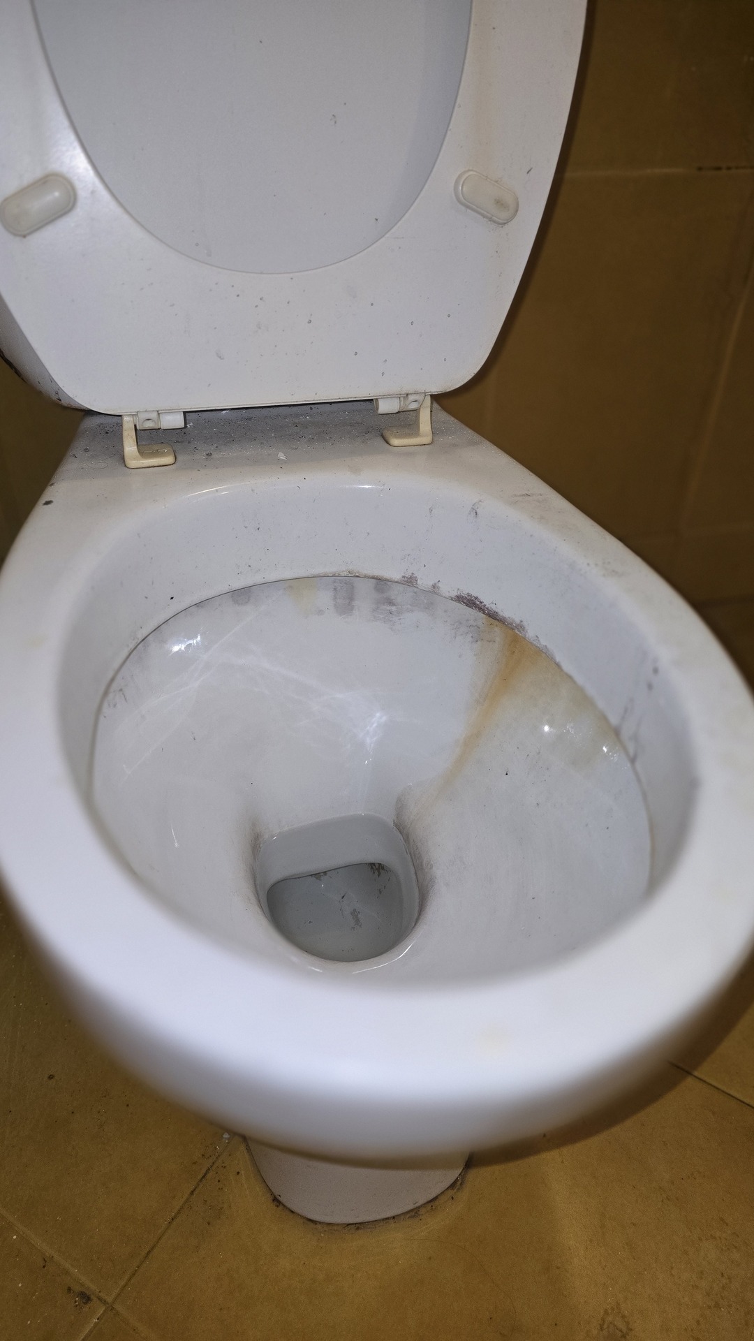 Before photo for Curățenie baie